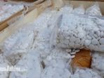pil-koplo_20180829_082100.jpg