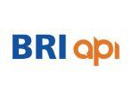 pionir-open-banking-api-di-indonesia-briapi-dari-bri.jpg