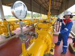 pipa-transmisi-penyaluran-gas-bumi-pgn.jpg