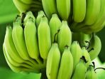 pisang_20180421_172514.jpg