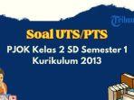 pjok-kelas-2-sd-kurikulum-2013.jpg