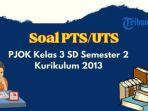 pjok-kelas-3-sd-semester-2-k13.jpg