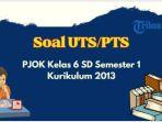 pjok-kelas-6-sd.jpg