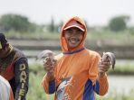 platform-akuakultur-efishery-ajak-masyarakat-makan-ikan.jpg