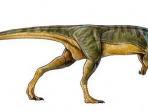 platipus-dinosaurus_20150428_142005.jpg