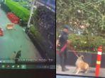 Satpam Plaza Indonesia Dipecat Pukul Anjing, Faktanya Demi Selamatkan Anak Kucing: Saya Sayang Dia