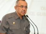 plt-gubernur_riau__20141106_081025.jpg