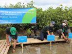 pnm-tanam-10000-mangrove-di-desa-ketapang-mauk.jpg