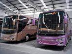 po-new-shantika-model-jetbus-3mhd-single-glass.jpg