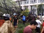 pohon-beringin-tumbang_20170824_201405.jpg