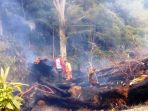 pohon-beringin_20171103_195727.jpg