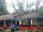pohon-beringin_20171130_155815.jpg