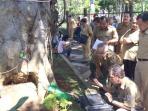 pohon-besar-di-jalan-djuanda-bogor_20160809_173854.jpg