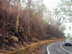 pohon-mengering-di-manado_20151103_153640.jpg