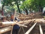 pohon-pinang-nih2_20160812_140939.jpg