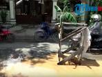 pohon-pisan-di-tengah-jalan_20160211_105849.jpg