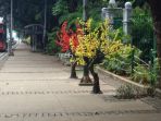 pohon-plastik-di-jalan-medan-merdeka-barat_20180531_165435.jpg