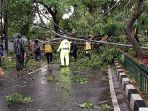 pohon-tumbang-akibat-hujan-deras-dan-angin-kencang-di-tangerang_20211223_191148.jpg