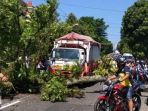 pohon-tumbang-banjarnegara_20180323_151505.jpg