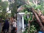 pohon-tumbang-di-bojonegoro.jpg
