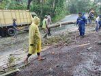 Pohon Tumbang di Jalan Raya Ciamis-Cirebon, Menimpa Kabel Listrik Hingga Sempat Bikin Macet Total