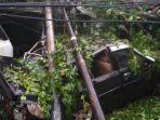 pohon-tumbang-di-ciputat-tangsel.jpg