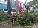 pohon-tumbang-di-jalan-jalur-alam-sutera.jpg