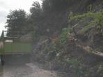 pohon-tumbang-di-jalan-trans-sulawesi_20160223_130055.jpg