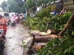pohon-tumbang-di-kota-bandung_20160414_165804.jpg