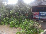 pohon-tumbang-di-pondok-aren-tangsel.jpg