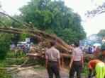 pohon-tumbang-di-wisata-kebun-binatang-gembira-loka_20160331_073059.jpg