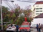 pohon-tumbang-menimpa-mobil-nih3.jpg