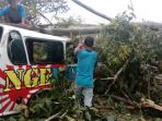 pohon-tumbang-timpa-angkutan-umum_20180109_230457.jpg