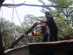 pohon-tumbang-timpa-atap-sekolah-alam-matoa-depok_20210922_195138.jpg