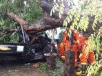 pohon-tumbang-timpa-pengendara-mobil-pick-up.jpg