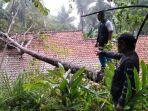 pohon-tumbang-timpa-rumah-di-ciamis.jpg