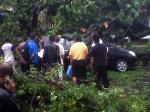 pohon-tumbang-timpa-sedan.jpg