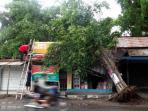 pohon-tumbang_20151217_175347.jpg