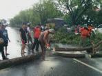 pohon-tumbang_20151231_183256.jpg