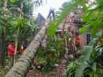 pohon-tumbang_20161114_223326.jpg