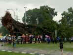 pohon-tumbang_20171108_152616.jpg