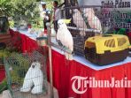 polda-jatim-sita-ratusan-burung_20181009_143614.jpg