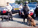 polisi-dan-anjing-pelacak_20151116_130526.jpg