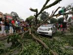 polisi-evakuasi-pohon-tumbang-timpa-mobil-avanza_20170922_123137.jpg