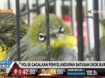 polisi-gagalkan-penyelundupan-ratusan-ekor-burung_20170420_105652.jpg