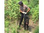 polisi-satwa-polda-sumut_20160111_181710.jpg