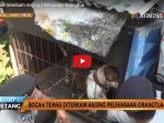 polisi-serahkan-anjing-penerkam-bocah-hingga-tewas-di-malang-kepada-komunitas-pecinta-binatang_20170808_112247.jpg