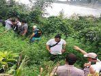 polisi-temukan-ladang-ganja.jpg