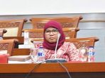 politikus-pdi-perjuangan-diah-pitaloka_20161207_095221.jpg