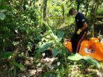 Warga Rejang Lebong Ditemukan Tinggal Kerangka di Kebun Kopi, Tulang Belulang Ditemukan Terpisah
